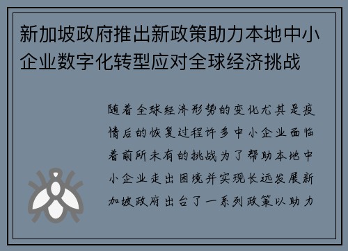 新加坡政府推出新政策助力本地中小企业数字化转型应对全球经济挑战
